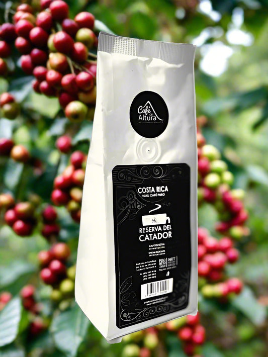 Catador Reserve Whole Bean- 8.8oz