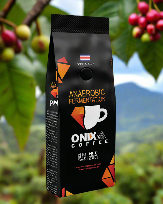 Onix - Whole Bean Anaerobic Fermentation Process-17.6oz
